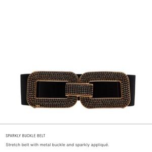 Zara Black and Gold Sparkly Buckle Stretch Belt
